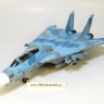 F-14A "Tomcat" U.S. NAVY Colorful Cat NSAWC Fallon NAS - WTW72_009004_b.jpg