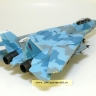 F-14A "Tomcat" U.S. NAVY Colorful Cat NSAWC Fallon NAS - WTW72_009004_b1.jpg