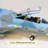 F-14A "Tomcat" U.S. NAVY Colorful Cat NSAWC Fallon NAS - WTW72_009004_b2.jpg